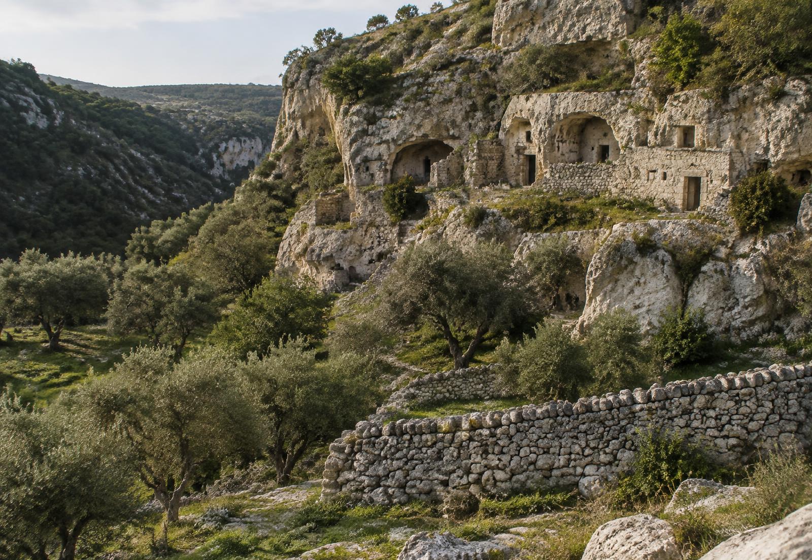 Case-grotte e ulivi nella Valle di Vignanotica